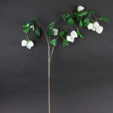 47.5" CHINESE LANTERN SPRAY