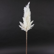 33"DRIED ASTILBE SPRAY CREAM