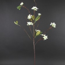 42"PEACH BLOSSOM CREAM A4