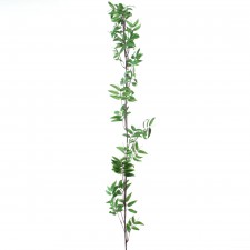 43"BAMBOO SPRAY GRN/BLACK B6