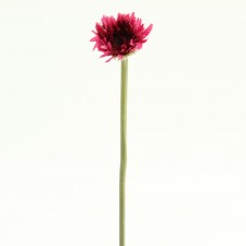 12"MINI SPIDER GERBERA A4