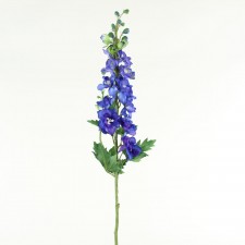 34" DELPHINIUM DELPH.BLUE