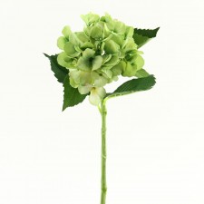 19" HYDRANGEA LIME GREEN