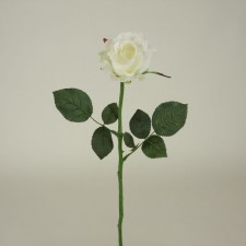 23"QUEEN ANNE ROSE BUD WHITE