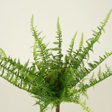 18"MD MOUNTAIN FERN NAT.GREEN