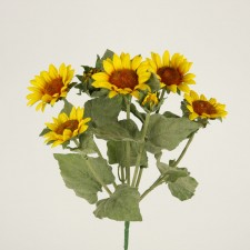 SUNFLOWER BUSH X7 YELLOW