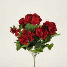 GERANIUM PLANT X7 RED