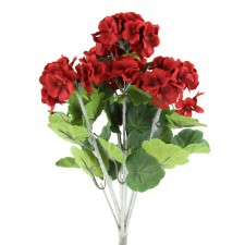 18" GERANIUM PLANT X13 RED