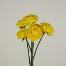 14" RANUNCULUS PICK X6 YELLOW