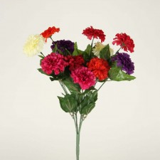 ZINNIA BUSH X12 MULTI