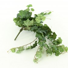 21"ENGLISH IVY BUSH NAT.GREEN