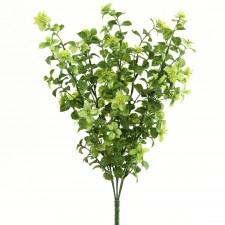 20"SEEDED WILD MINT BUSH
