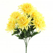 NAT.MUM BUSH YELLOW