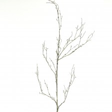 BIRCH BRANCH GRN/BRWN