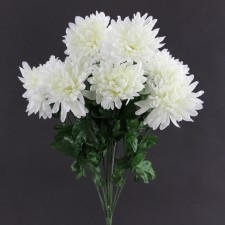 CHRYSANTHEMUM BUSH NAT.WHITE