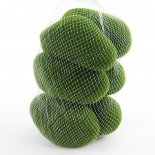 3"LG MOSS CVRD STONE 6/BG