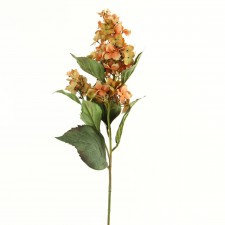 LILAC HYDRANGEA