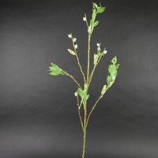 40"PUSSY WILLOW BRNCH A4