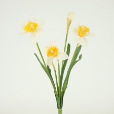 19" DAFFODIL PLANT X5