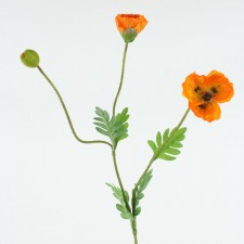 33" POPPY SPRAY X3 ORANGE