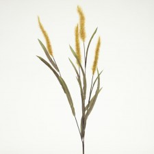 32" DOGS TAIL GRASS SPRAY GRN