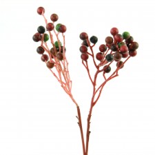 12" ELDER BERRY PICK A4 B15