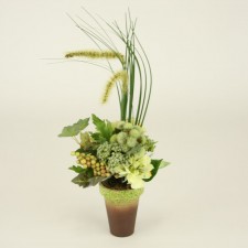 16"SCABIOSA/ONION GRASS POTTED