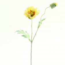 15.5" MINI POPPY GOLD