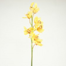 37" CYBIDIUM STEM YELLOW