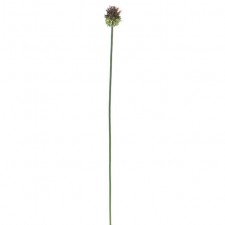 28.5" THISTLE STEM