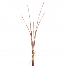 35"SNAKE GRASS X7 A5
