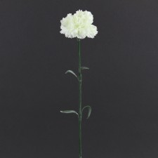 22"CARNATION SPRAY CREAM B3