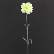22"CARNATION SPRAY B3