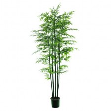 7' BLACK BAMBOO TREE X7