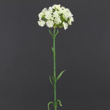24" DIANTHUS SPRAY WHITE M4