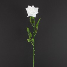 21"DIAMOND ROSE WHITE B3