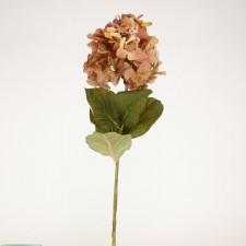24" LG HYDRANGEA BROWN A25
