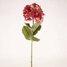 24"LG HYDRANGEA A5