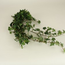 36"LACE IVY HANGING BUSH GRN