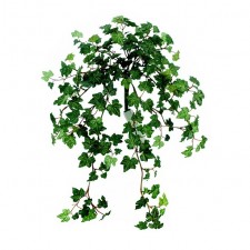 LACE IVY HNGNG BUSH GREEN