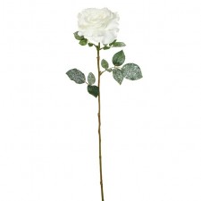 28" ICE SINGLE GEORGIA ROSE