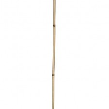 6.5' DRIED BAMBOO BEIGE