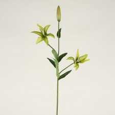 32"LILY SPRAY X3 GRN A4