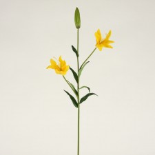 32"LILY SPRAY X3 YELLOW A4