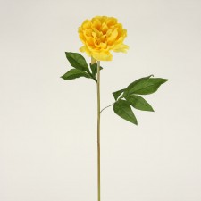 29" SINGLE PEONY YELLOW
