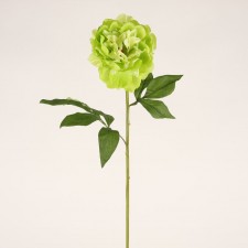 29" SINGLE PEONY GREEN