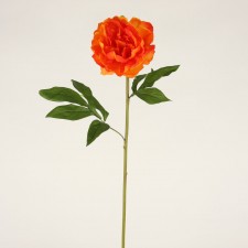 29" SINGLE PEONY ORANGE