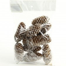 2-3.5"PINECONE W/GLIT 10PC/BG