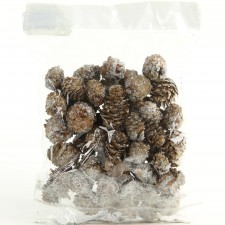 1-1.5"PINECONE W/GLIT 125G/BG