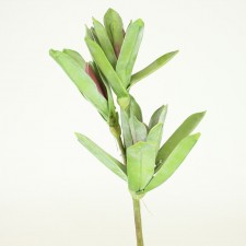19" HOUSELEEK SPRAY RED/GREEN
